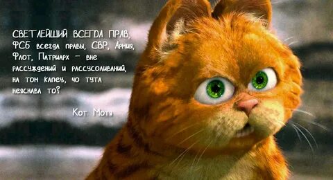 Кот и мот