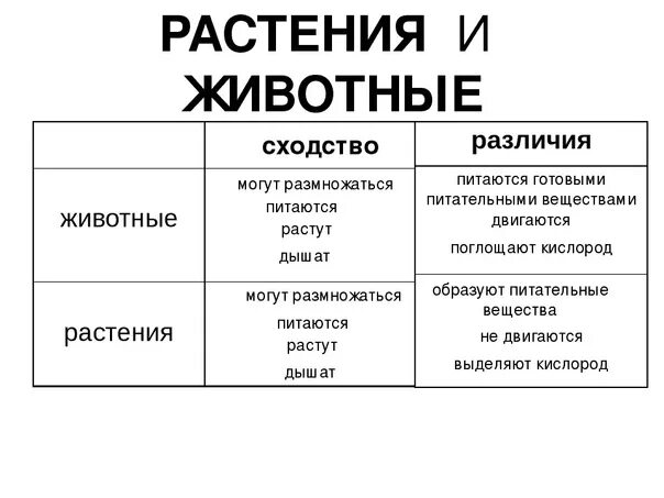 Отличие животных от растений. Признаки отличия растений от животных. Сходство и отличие животных и растений. C[jlcndf b hfpkbxbz VT;le hfcntybzvvb ;bd.