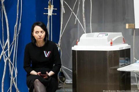 Голосование в калининградской