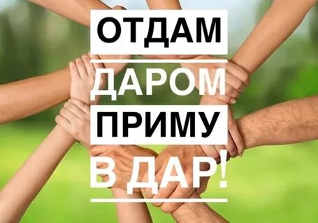 Не приму и даром