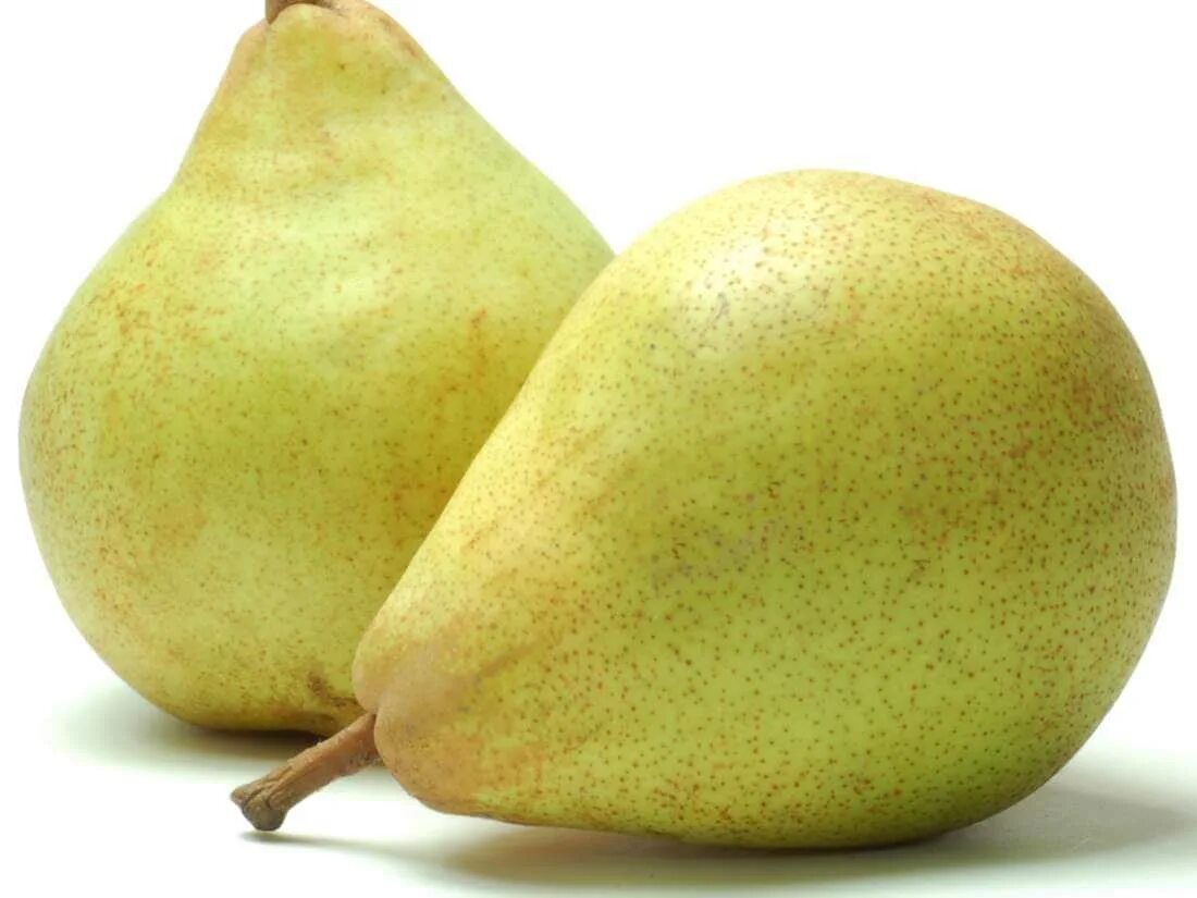 Груша Деведжи. Сорт груши Деведжи. Fresh Pear груша. Турецкая груша Деведжи. Fresh pear