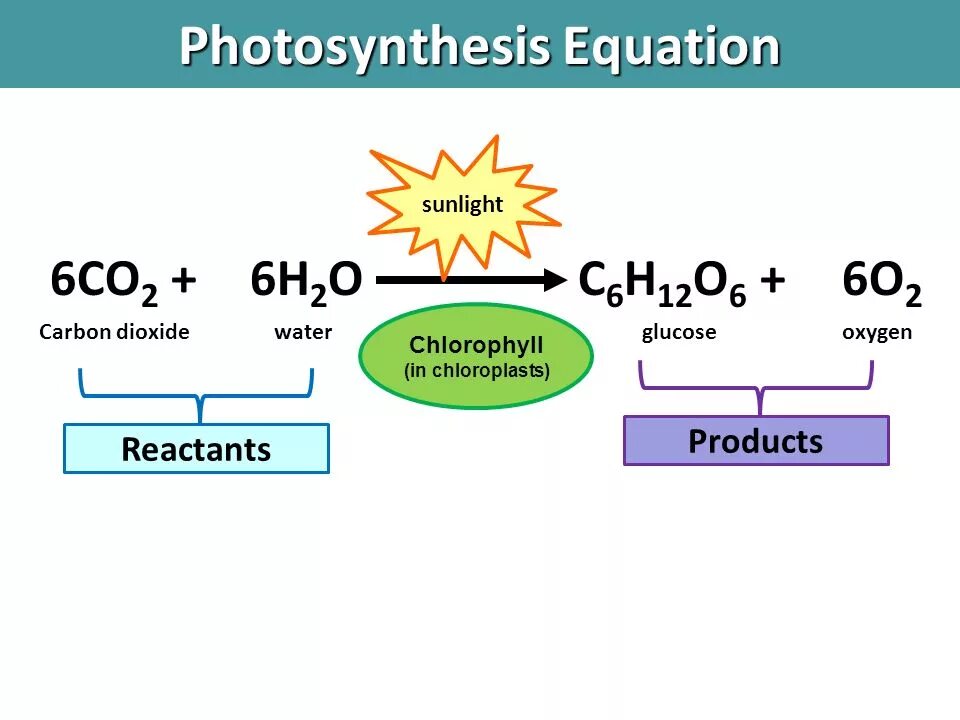 Co2 h2o фотосинтез. Photosynthesis equation. Photosynthesis process. Product of Photosynthesis. Уравнение процесса фотосинтеза.