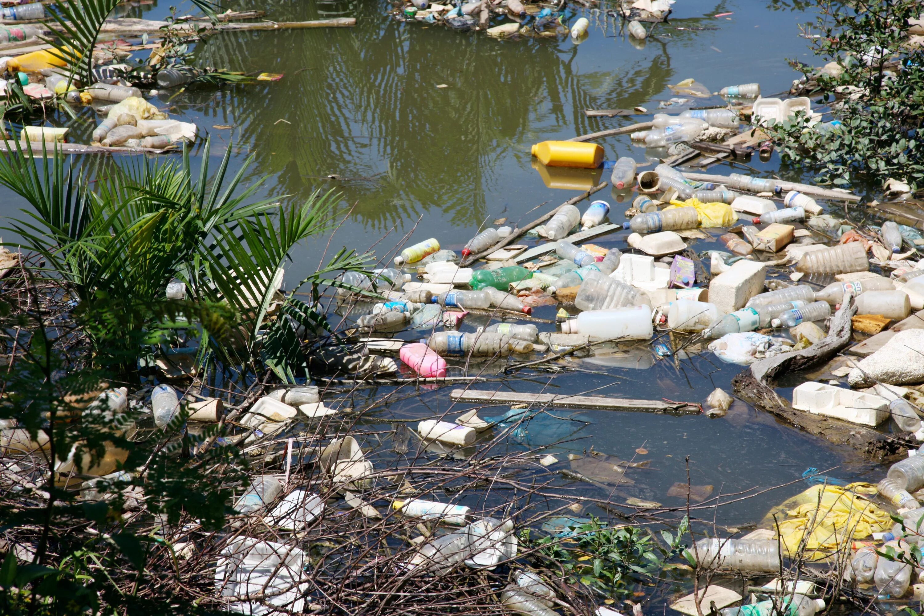 Pollution pictures. Экология водоемов. Загрязнение водоемов. Загрязненные водоемы. Грязная природа.