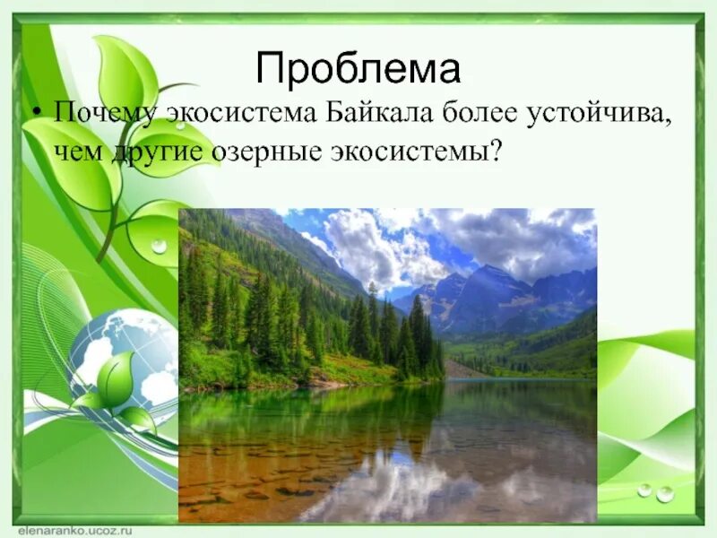 Экосистема структура экосистемы. Биогеоценоз это. Почему экосистемы. Почему экосистемы. Экосистема презентация.