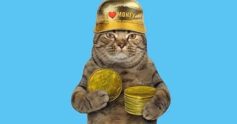 Биткоин кетс