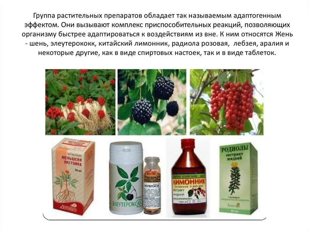 Гр подсолнечного. Соотношение сливочного и растительного масла в выпечке в граммах. 25 гр соли. Систематика подсолнечник масличный. Сахар в 1 столовой ложке сколько грамм.