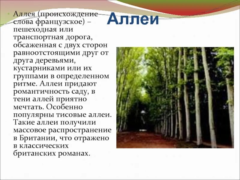 Происхождение слова аллея. Загадка про аллею. Загадка про слово аллея. Предложения про деревья в аллеях. Подчеркни слова аллея