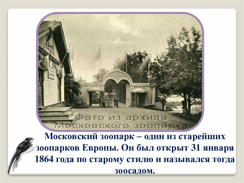 Московский зоопарк открыт. Московский зоопарк 1864. Открыт Московский зоопарк 1864. Московский зоосад 1864 год. Московский зоопарк основан в 1864.