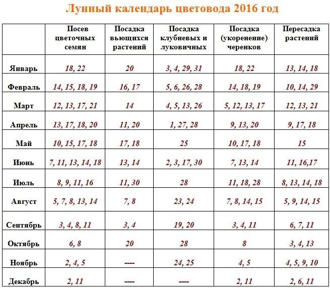 Посевной календарь цветовода на 2024 год. Лунный календарь для комнатных растений. Календарь пересадки растений. Календарь посадки комнатных растений. Календарь пересадки цветов.