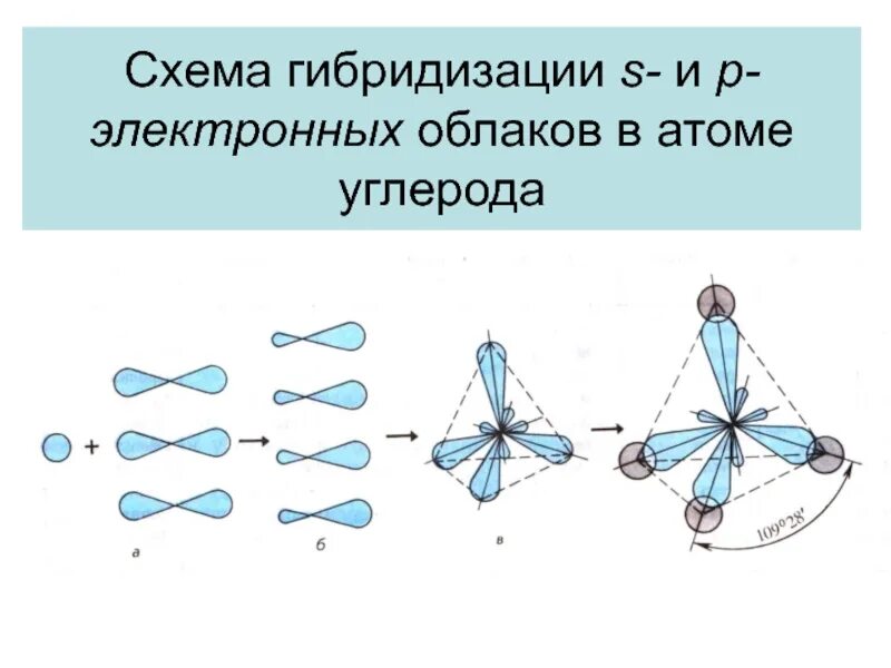 Виды гибридизации атомных орбиталей (ао) углерода. Схема sp3 гибридизации углерода. Sp3 sp2 sp гибридизация атомов углерода таблица. Гибридизация электронного облака атома углерода. Гибридизация электронного облака атома углерода.