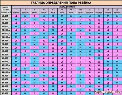 Пол ребенка 2023 зачатия таблица
