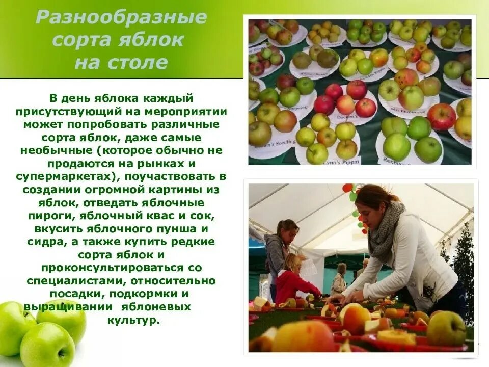 У тебя было два яблока. Два яблока. Два яблока. Ешь 2 яблока в день. Всемирный день яблок.