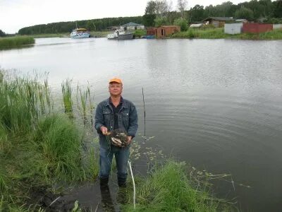 Старый шарап. Река Шарап Кемеровская область. Река Шарап Новосибирская область. Озеро новый Шарап. Деревня новый Шарап Новосибирская.