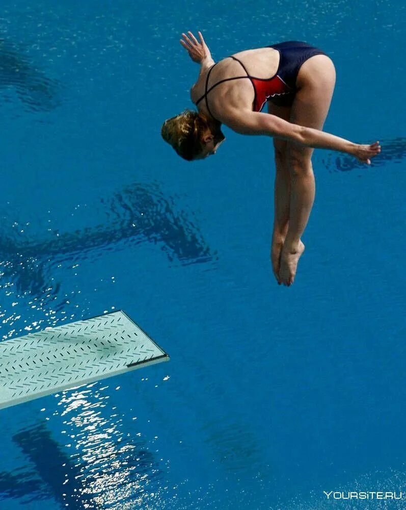 Прыжки в воду. Прыжки в воду спорт. Прыгает в воду. Волк в прыжке.