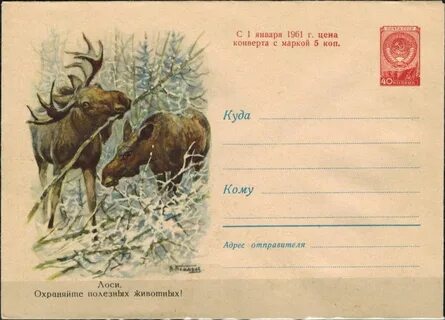 1960 животного