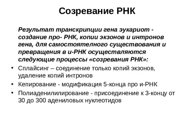 3 созревания рнк