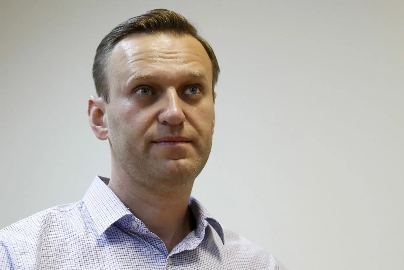 Навальный оппозиционер. Новости сегодня навальный читать