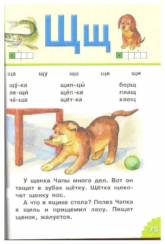 Букварь ц. Букварь буква щ.