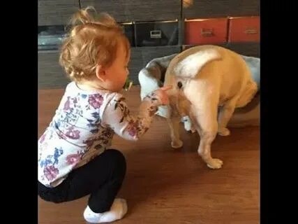 Включи самые веселые видео