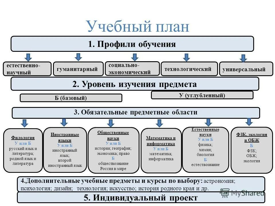 Профиль образовательной программы. Профиль образовательной программы. Профиль образовательной программы. Дополнить перечень руководителей. Профиль образовательной программы.