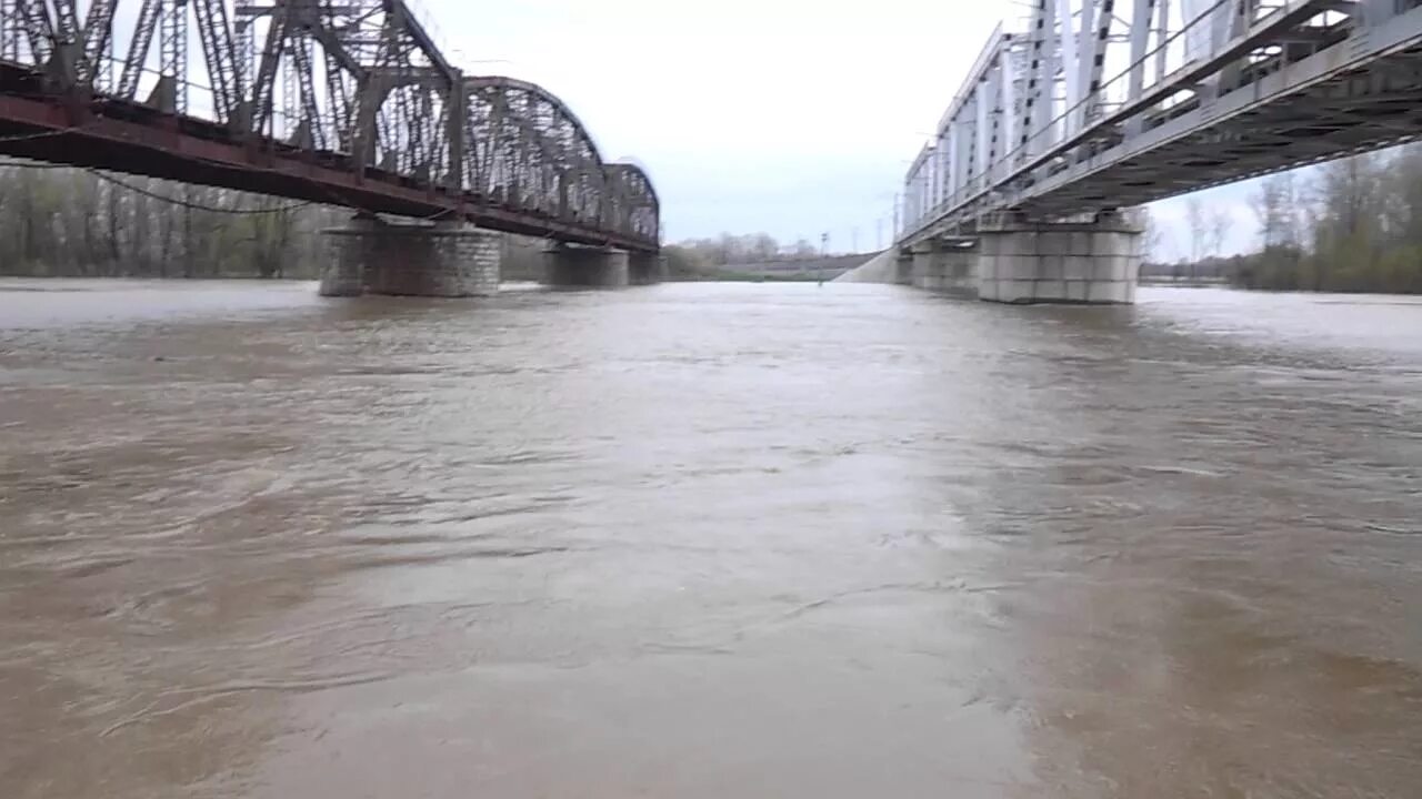 Уровень воды в чумыше сегодня тальменка. Река Чумыш Тальменка. Река Чумыш Алтайский край. Река Чумыш Алтайский край рыбалка.