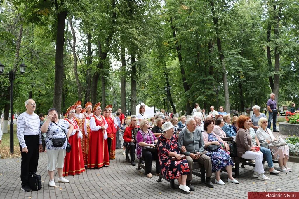День во владимире новости сегодня. Новости владимира. Многоликий 2022 батбилег. Места во владимире для молодежи. День во владимире новости сегодня.