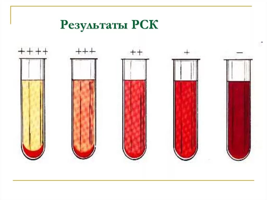 Гемолиз эритроцитов в пробирке. Реакция микропреципитации Вассермана. Полный гемолиз в РСК. Реакция гемолиза микробиология. Расчет рск