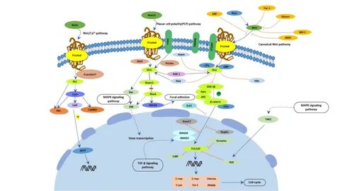 Kit signaling