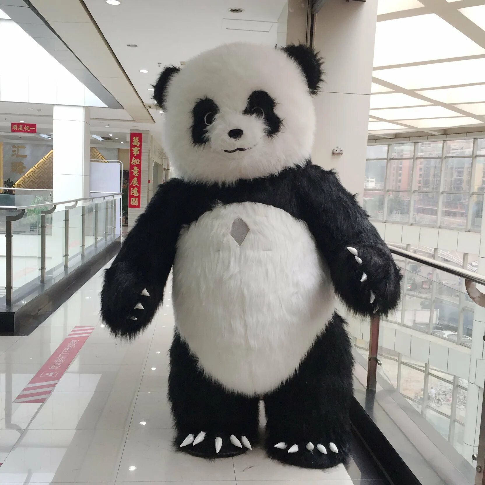 Панда в китае. New panda. Панда в китае. Большая панда. Животные.