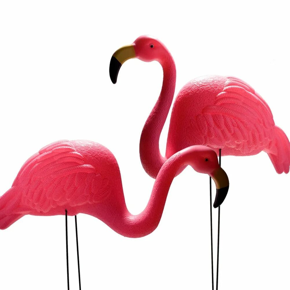 Фламинго 51148. Авен фламинго. Розовый фламинго граффити. Игрушка розовый фламинго новэкс. Фламинго 43196.