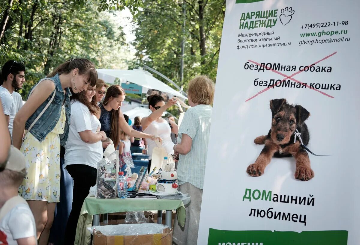 Дарящие надежду фонд помощи животным. Благотворительный фонд дарящие надежду. Международный благотворительный фонд помощи животным. Благотворительность помощь животным.