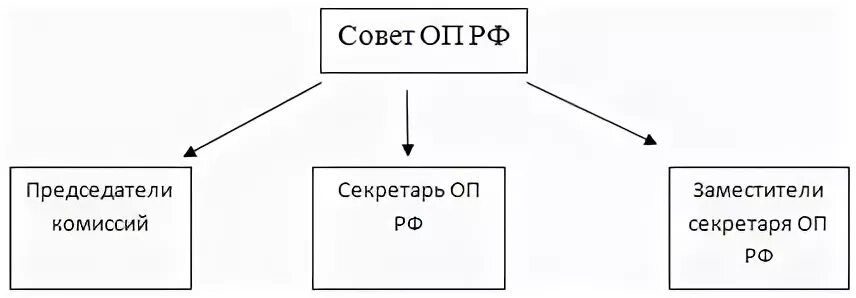 Функции общественной палаты РФ схема. Общественная палата схема. Структура общественной палаты РФ схема. Общественная палата РФ схема. Органы общественной палаты рф