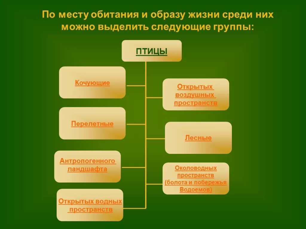 Птицы открытых мест обитания. Классификация мест обитаний. Группы птиц по местам обитания таблица. Птицы открытых местообитаний группа. Экологические группы птиц по месту обитания таблица