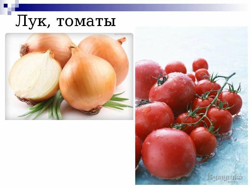 Почему люди болели цингой. Томаты с луком. помидоры луковые. почему люди болеют цингой.