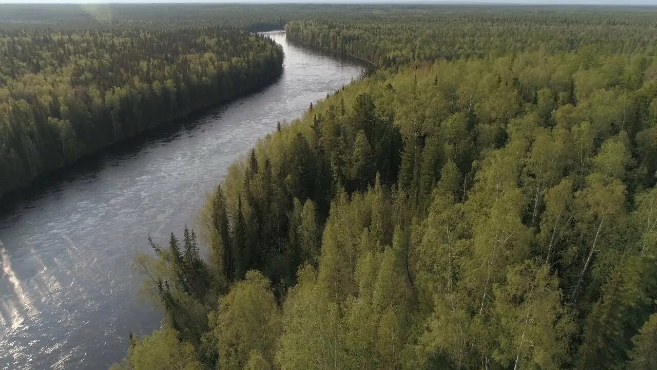 река хулга урал. малая сосьва хмао. река малая сосьва. река северная сосьва. река саранпауль хмао.