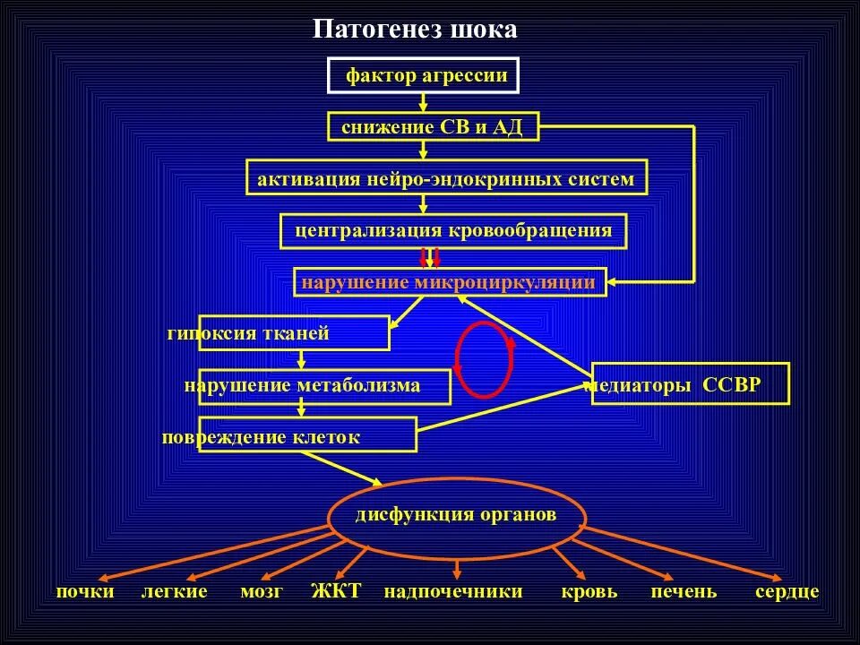 Механизм развития травматического шока. Механизм развития шока патофизиология. Этиология и патогенез травматического шока. Гиповолемический ШОК патогенез схема. Общая этиология общий патогенез