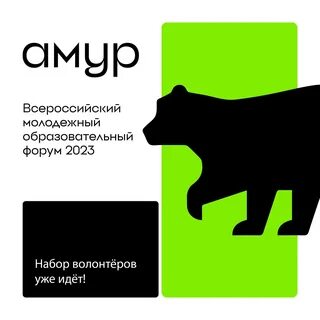 Форум амур спб