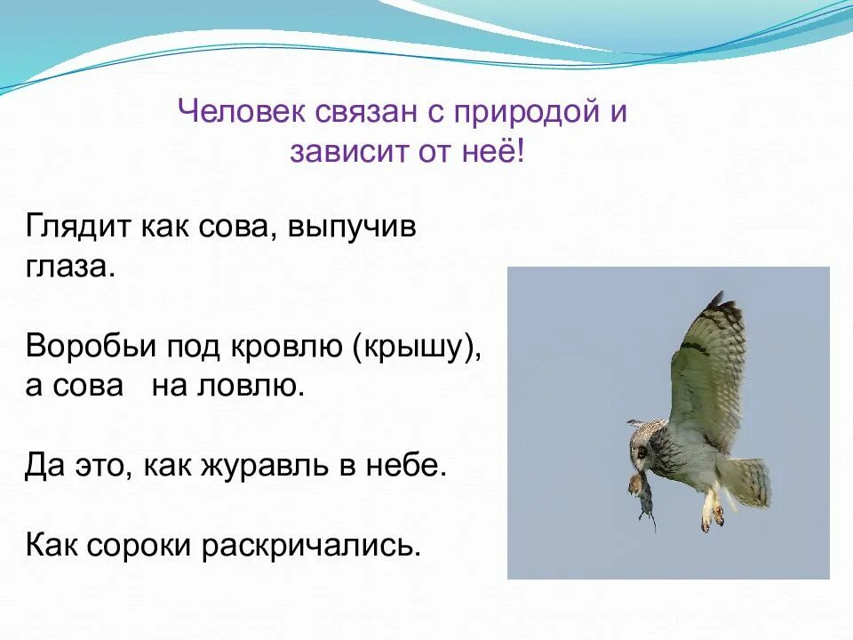 Какая пословица выражает главную мысль бианки сова