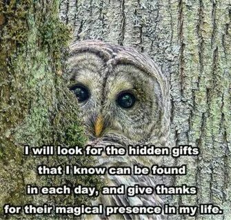 Hidden t
