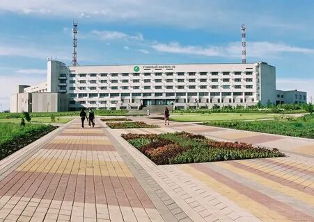 Система электронной поддержки белгау