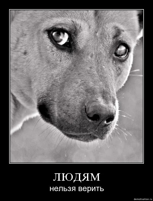 никому нельзя верить. кому нельзя верить. нельзя доверять людям. кому нельзя доверять. кому верить.