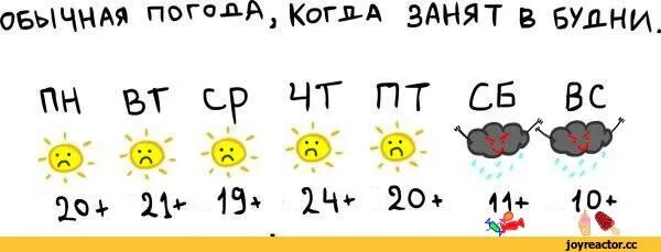 Погода на выходные. Мемы про погоду в выходные и будни. Мем про погоду в будни и выходные. Погода на выходные прикол.