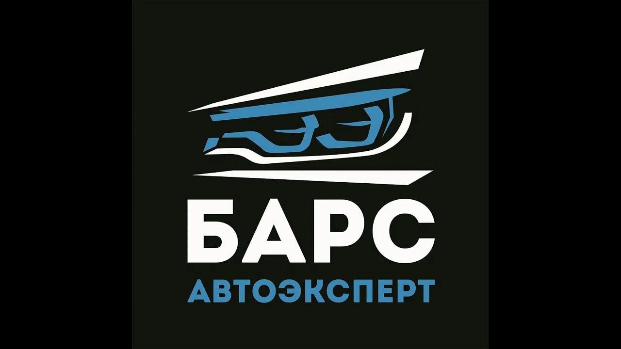 Барс авто прогноз. Барс автоэксперт омск. автосалон барс. логотип барс авто. логотип автоцентра барс омск.