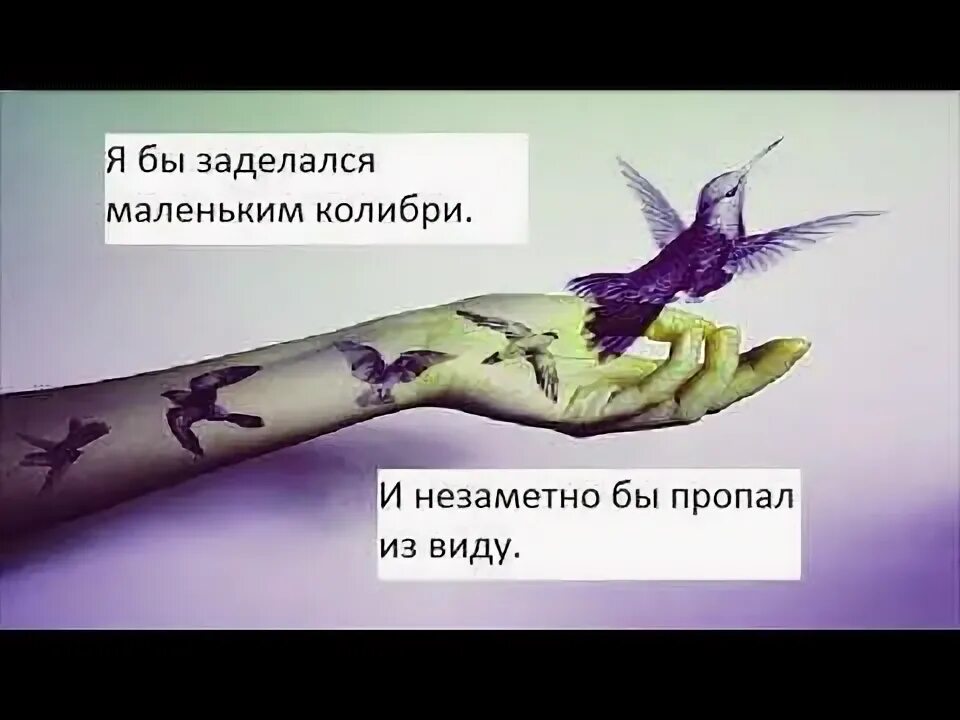 Мияги Колибри. Отпускаю Колибри. Я бы заделался маленьким Колибри. Колибри мияги обложка.