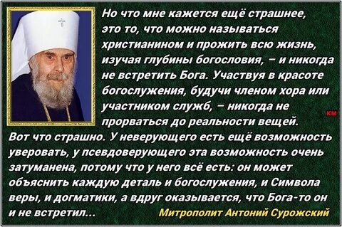 Цитата владыка