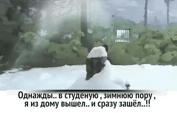 Однажды зеленую зимнюю пору. Однажды в студёную зимнюю. однажды в студёную зимнюю пору прикол. в студеную зимнюю пору. смешной стих однажды в студеную зимнюю пору.