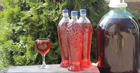 Вино в пластиковой бутылке