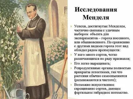 Мендель методы исследования