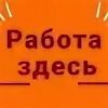 Халтура барнаул
