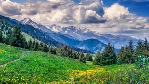 Шашты плюс өлшемді әйелдердің порнофотосуреттері